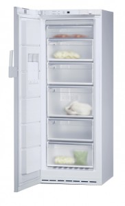 Siemens GS24NA21 Холодильник фото, Характеристики