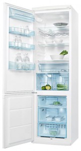 Electrolux ERB 40233 W Refrigerator larawan, katangian
