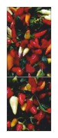 Snaige RF36SM-S10021 36-26 फ़्रिज तस्वीर, विशेषताएँ