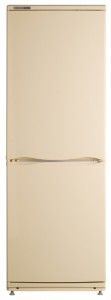 ATLANT ХМ 4012-081 Холодильник Фото, характеристики