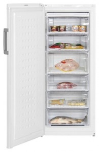 BEKO FS 225320 Refrigerator larawan, katangian