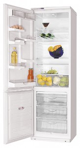 ATLANT ХМ 6024-053 Refrigerator larawan, katangian