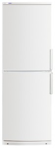 ATLANT ХМ 4023-400 Холодильник Фото, характеристики