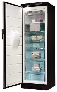 Electrolux EUFG 2900 X 冰箱 照片, 特点