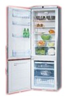 Hansa RFAK310iMН Refrigerator larawan, katangian
