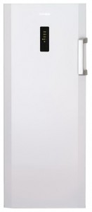 BEKO FN 123400 Refrigerator larawan, katangian