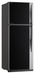 Toshiba GR-RG59FRD GU Buzdolabı fotoğraf, özellikleri