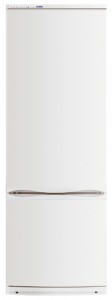 ATLANT ХМ 6020-031 Refrigerator larawan, katangian
