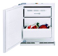 Bauknecht UGI 1000/B Refrigerator larawan, katangian