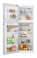 Samsung RT2ASDSW Tủ lạnh ảnh, đặc điểm