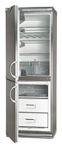 Snaige RF310-1773A Refrigerator larawan, katangian