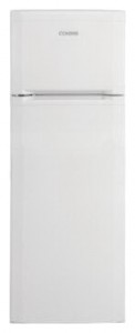 BEKO DS 227010 Buzdolabı fotoğraf, özellikleri