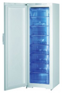 Gorenje F 60300 DW Buzdolabı fotoğraf, özellikleri
