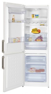 BEKO CS 234030 Refrigerator larawan, katangian