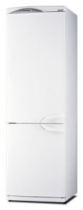 Daewoo Electronics ERF-394 A Холодильник Фото, характеристики