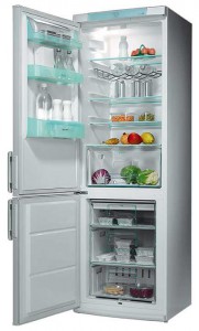 Electrolux ERB 3651 Холодильник Фото, характеристики