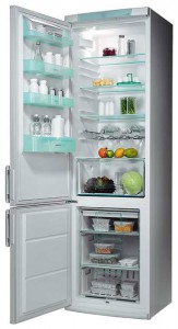 Electrolux ERB 4051 Refrigerator larawan, katangian