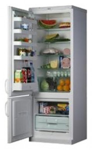 Snaige RF315-1803A Холодильник Фото, характеристики