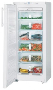 Liebherr GNP 2356 Refrigerator larawan, katangian