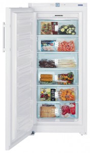 Liebherr GNP 3166 Холодильник фото, Характеристики