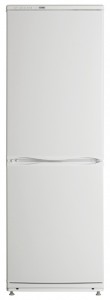 ATLANT ХМ 6019-031 Холодильник Фото, характеристики