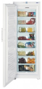 Liebherr GNP 4166 Refrigerator larawan, katangian