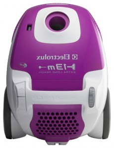 Electrolux ZE 330 Vacuum Cleaner larawan, katangian